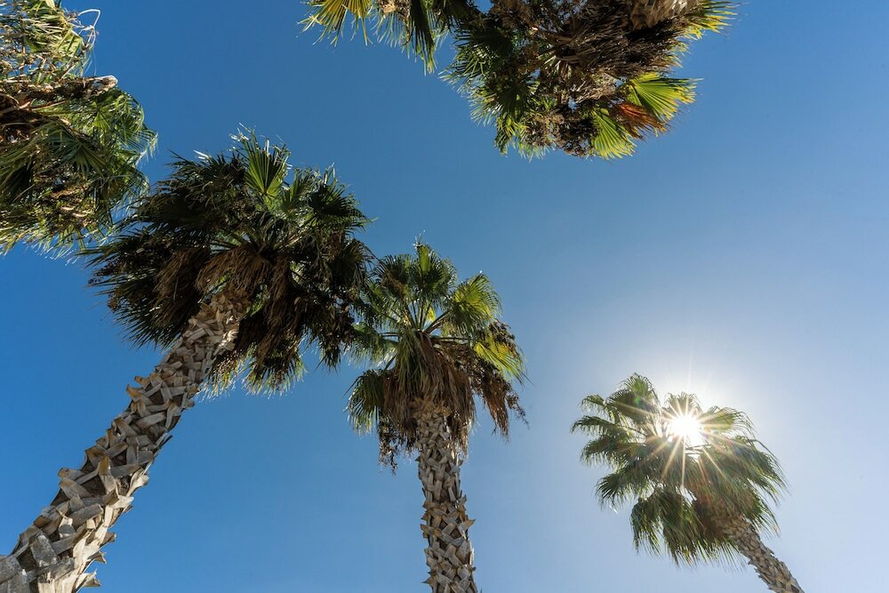 Фото 224685354298