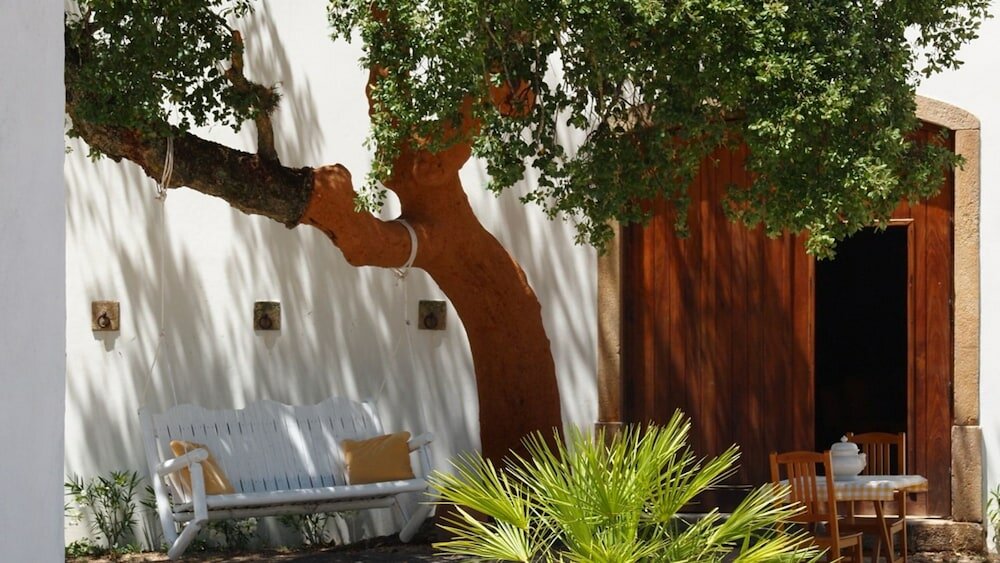 Фото Quinta dos Ribeiros