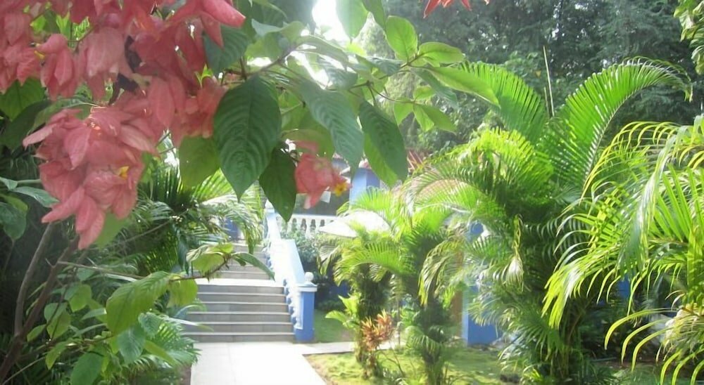 Фото Mayflower Beach Resort