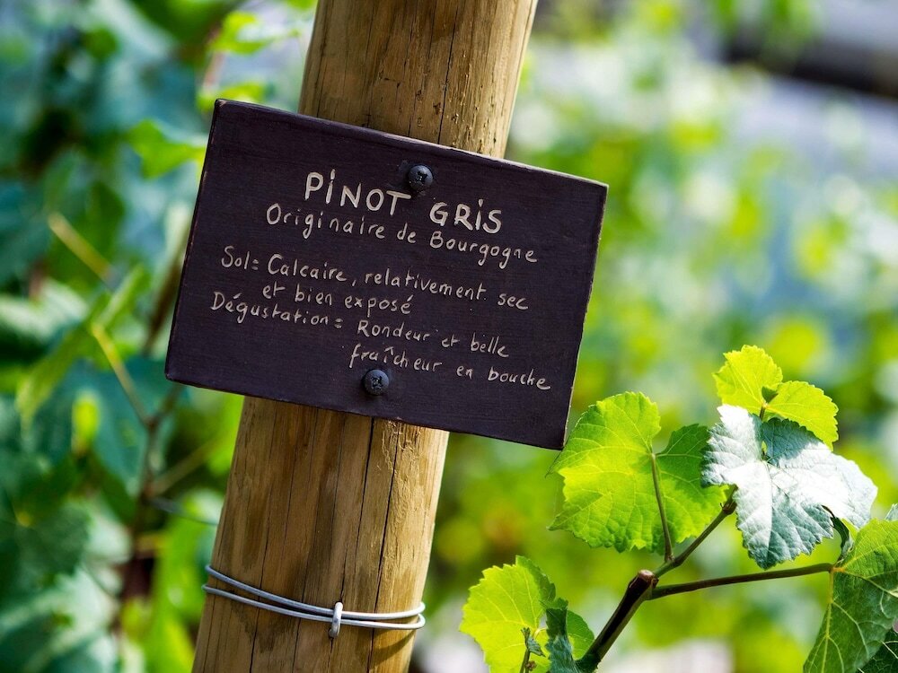 Фото Sofitel Strasbourg