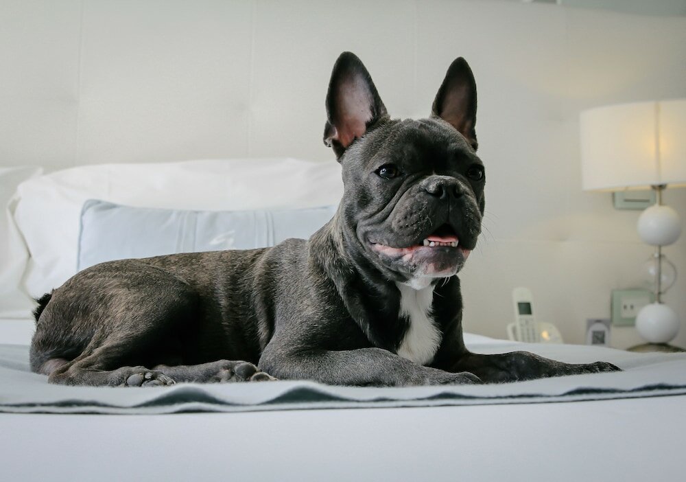 Фото 1828 Smart Hotel