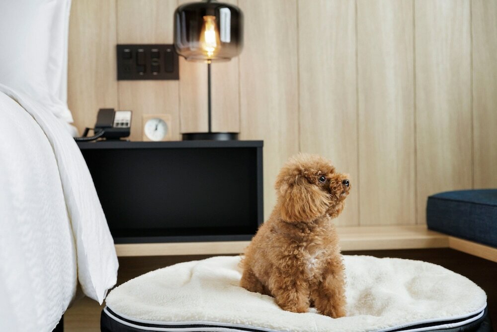 Фото Fairfield by Marriott Gifu Seiryu Satoyama Park