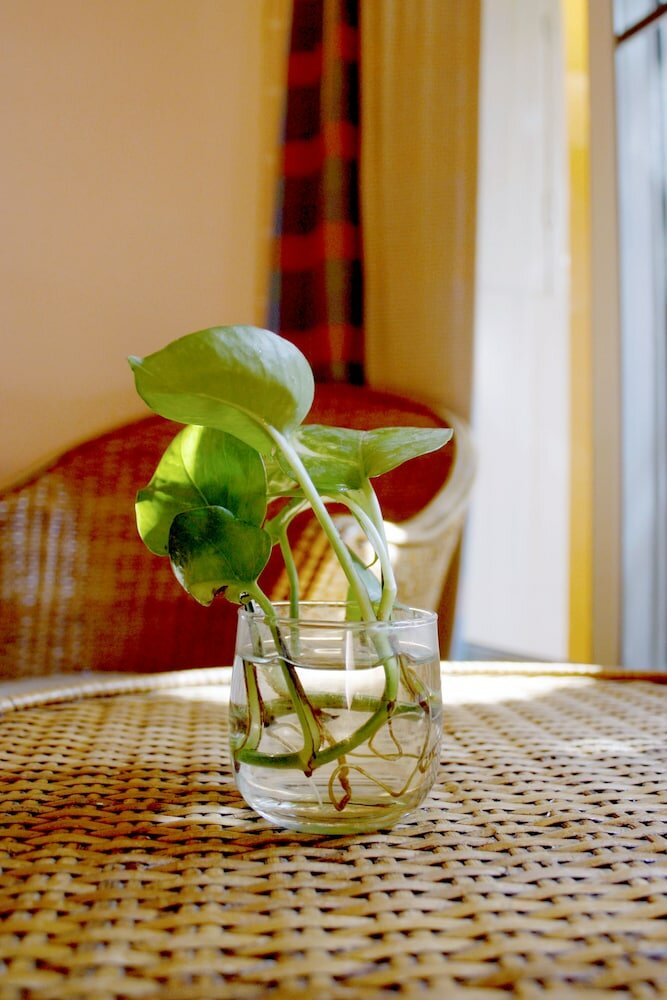 Фото Changmoi House