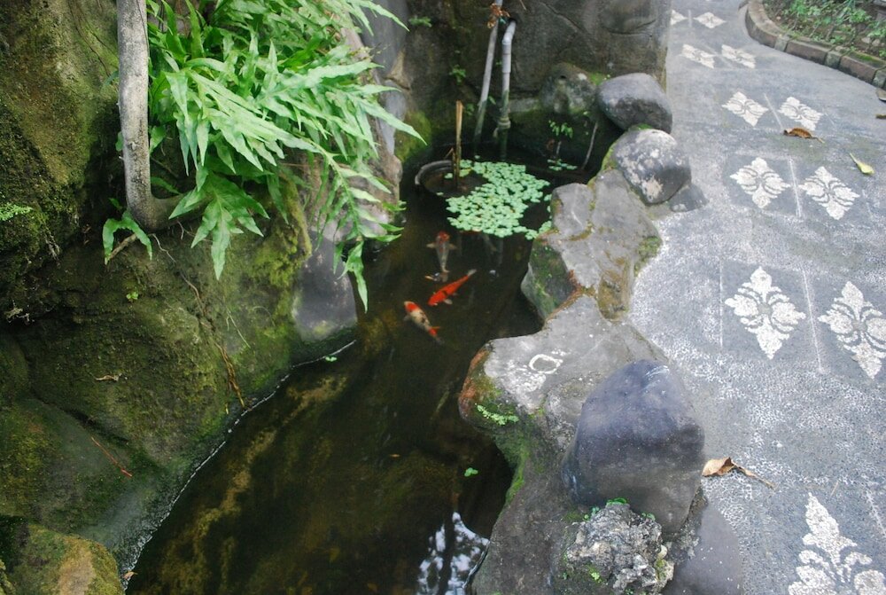 Фото Hotel Sorga Cottages