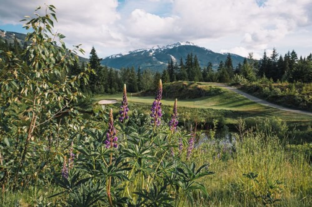 Фото Fairmont Chateau Whistler