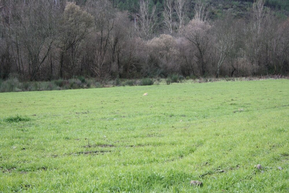 Фото Casa Lagar Da Alagoa
