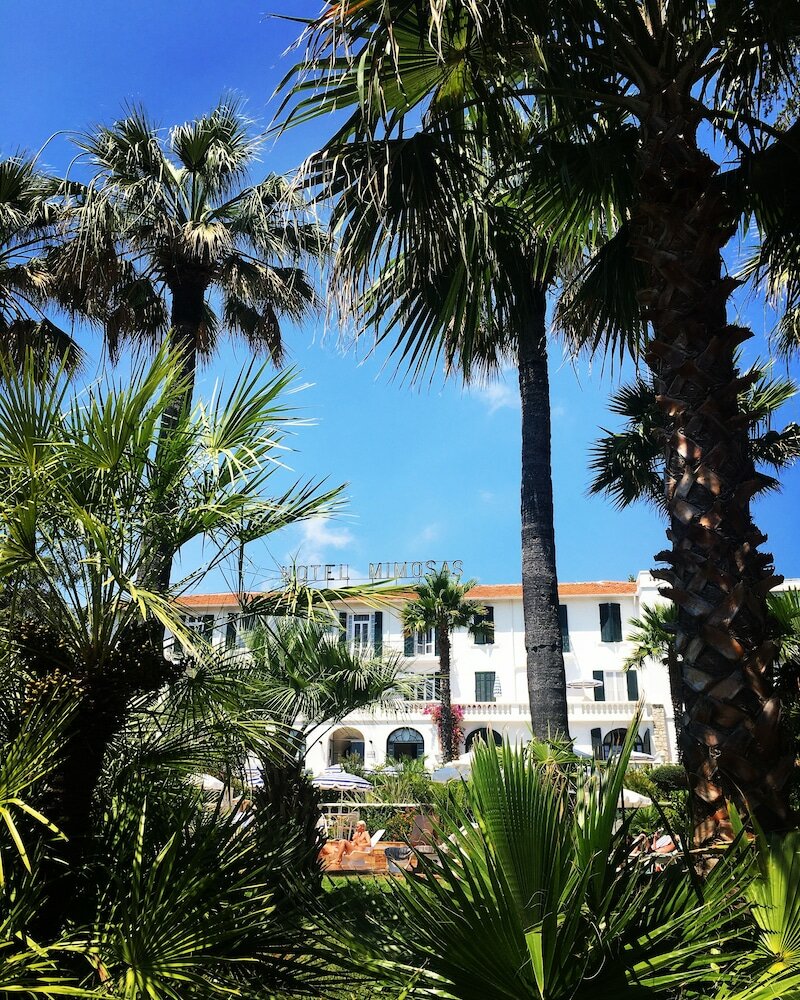 Фото Hotel des Mimosas