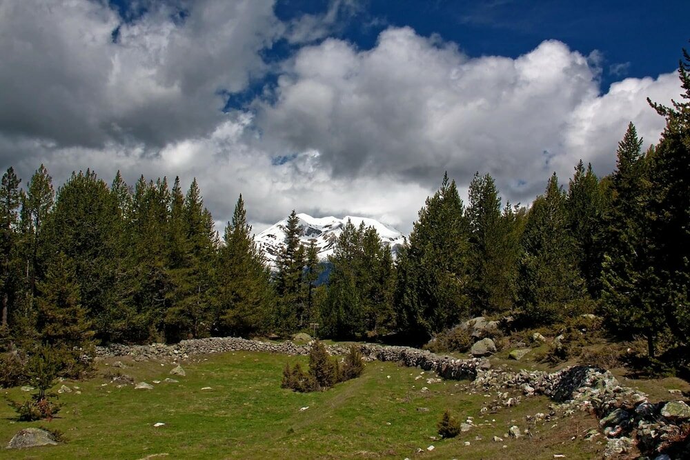 Фото Hotel Montecarlo