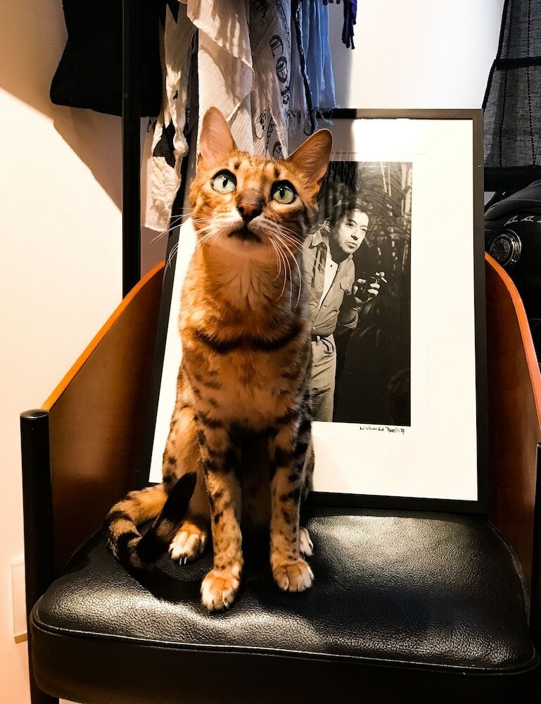 Фото Hotel de Paris