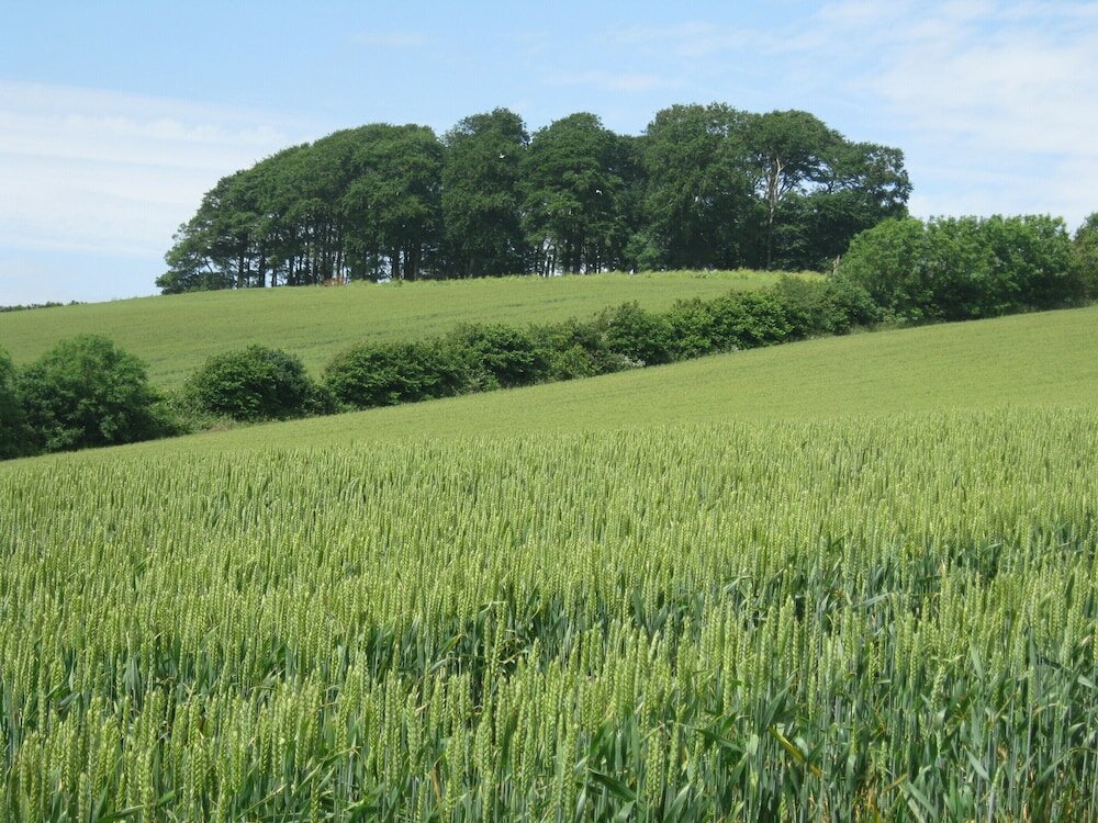 Фото Hollamoor Farm B&b