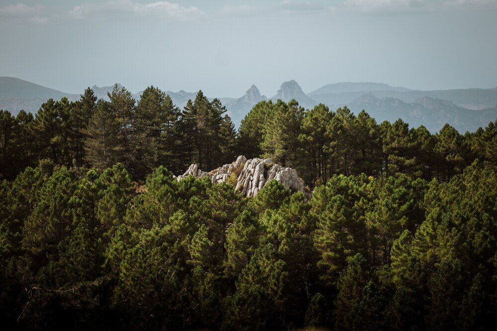 Фото Vallicciola Nature Hotel