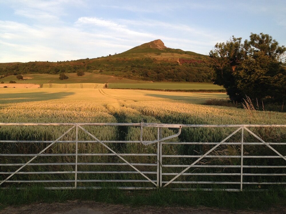 Фото Gisborough Hall