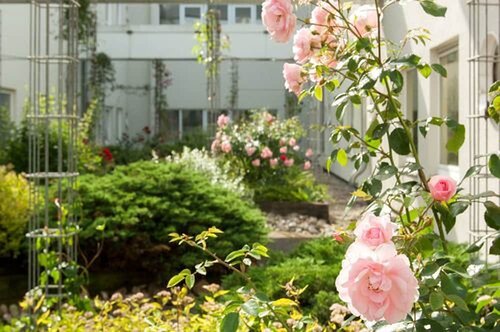 Внешний вид отеля Egon Hotel Hamburg City в Гамбурге, фото 5