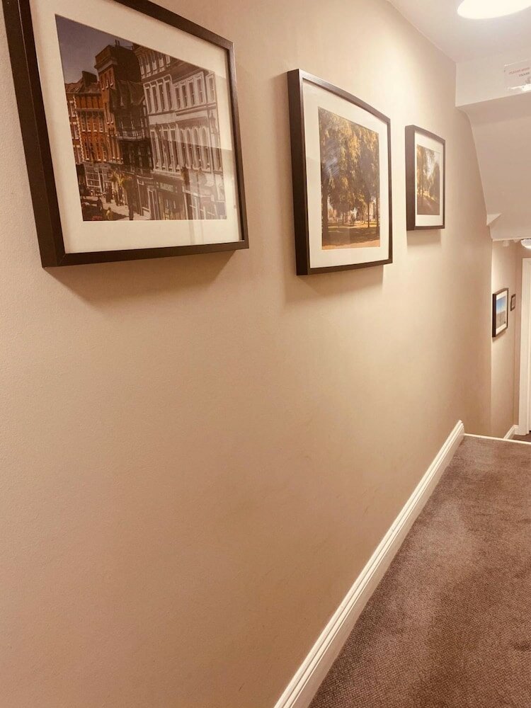 Фото The Loopy Shrew