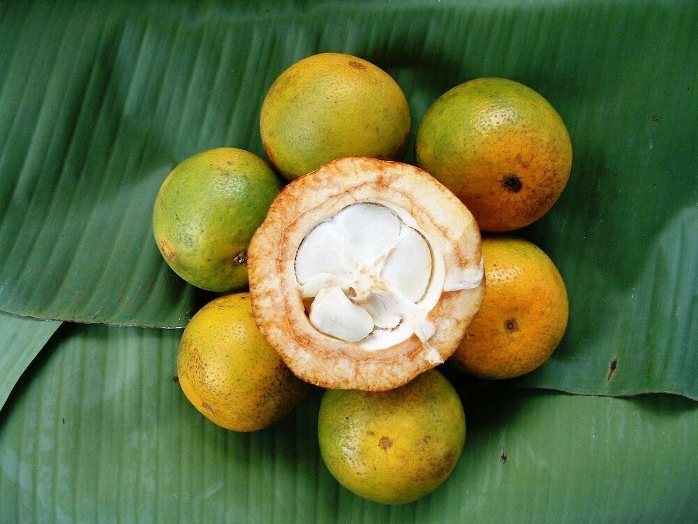 Фото Princess Salme Inn