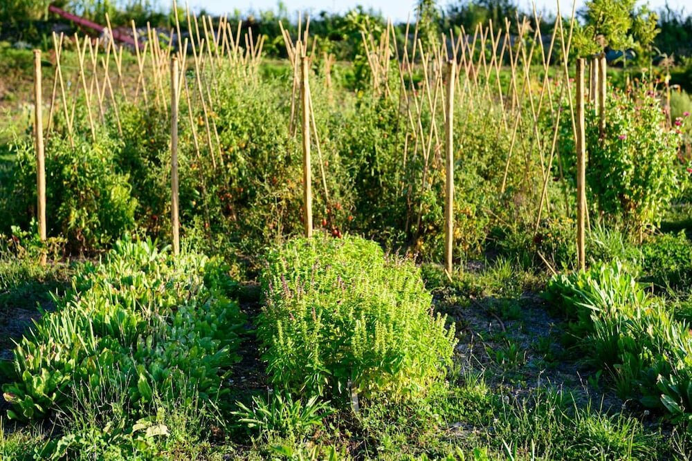 Фото Borgo Antichi Orti Assisi