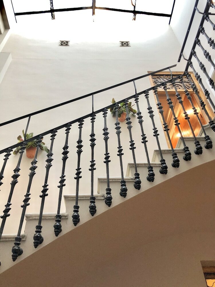 Фото BirdHouse Valencia