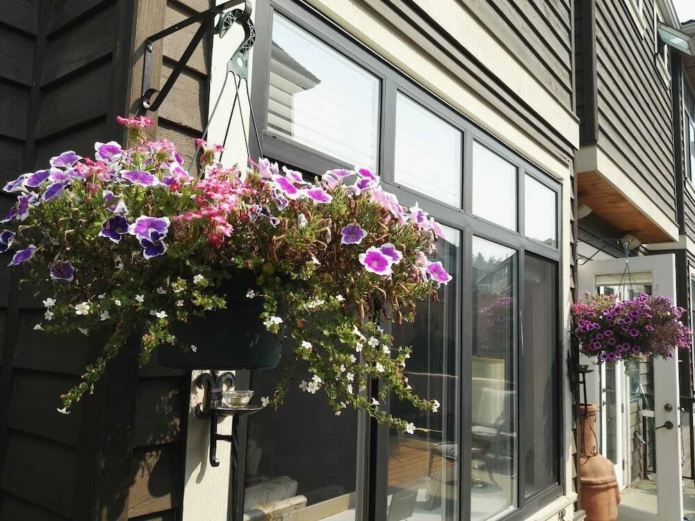 Фото Sunny Island by White Rock