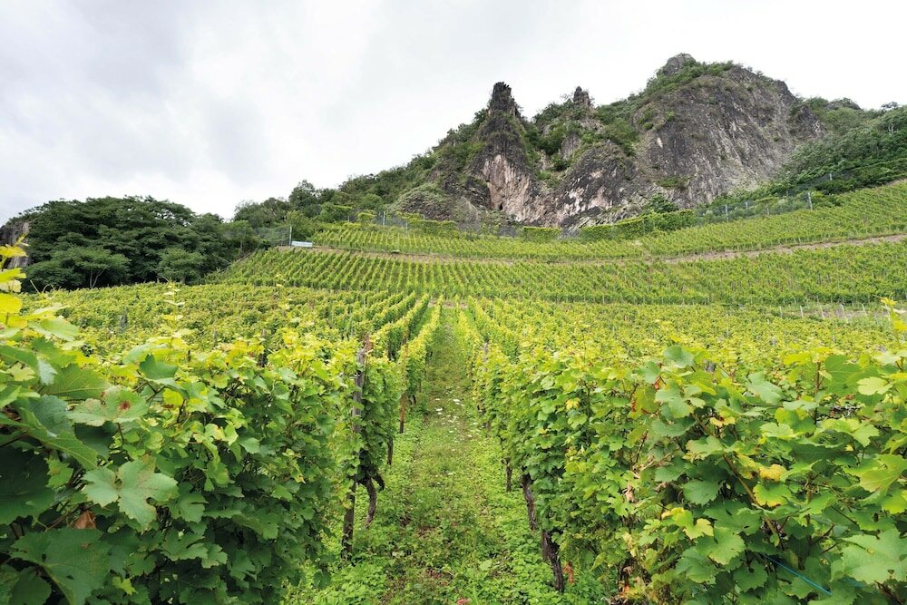 Фото Seminaris Hotel Bad Honnef