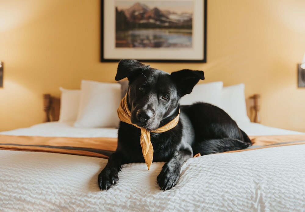 Фото Grouse Mountain Lodge