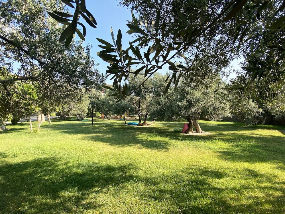 Фото 133610433911