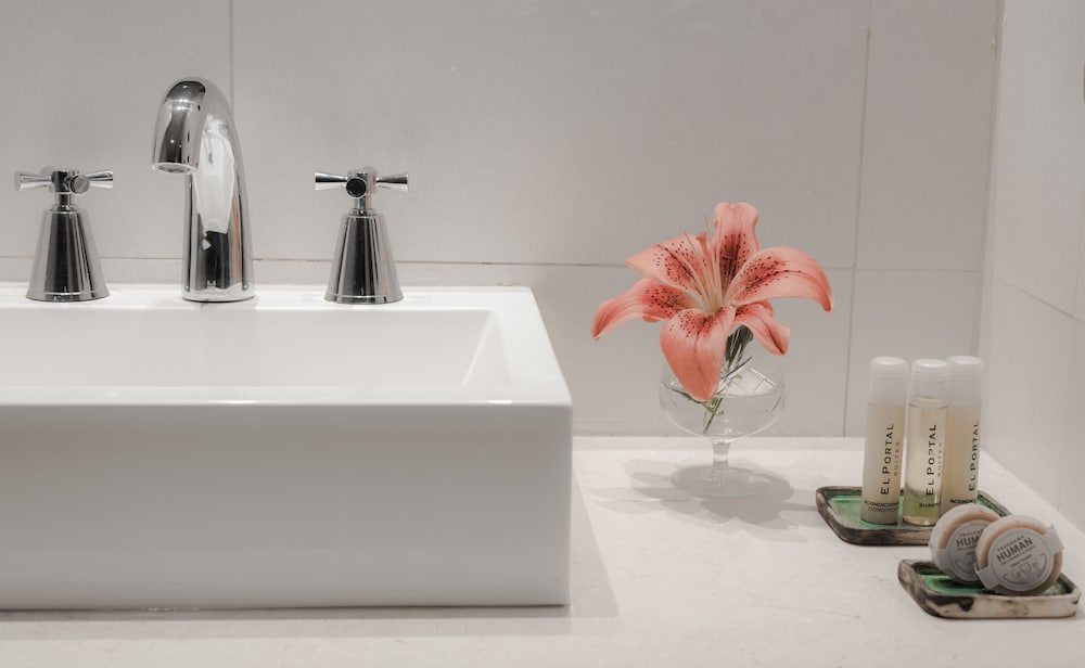 Фото Portal Plaza Suites