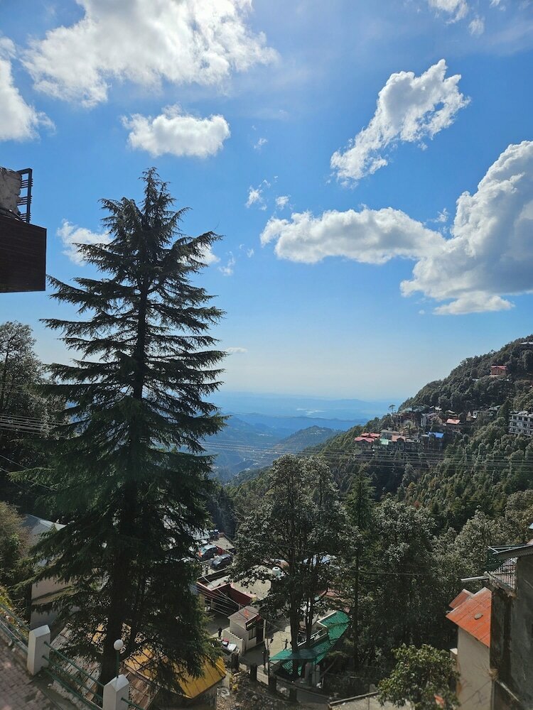 Фото Hotel Mongas