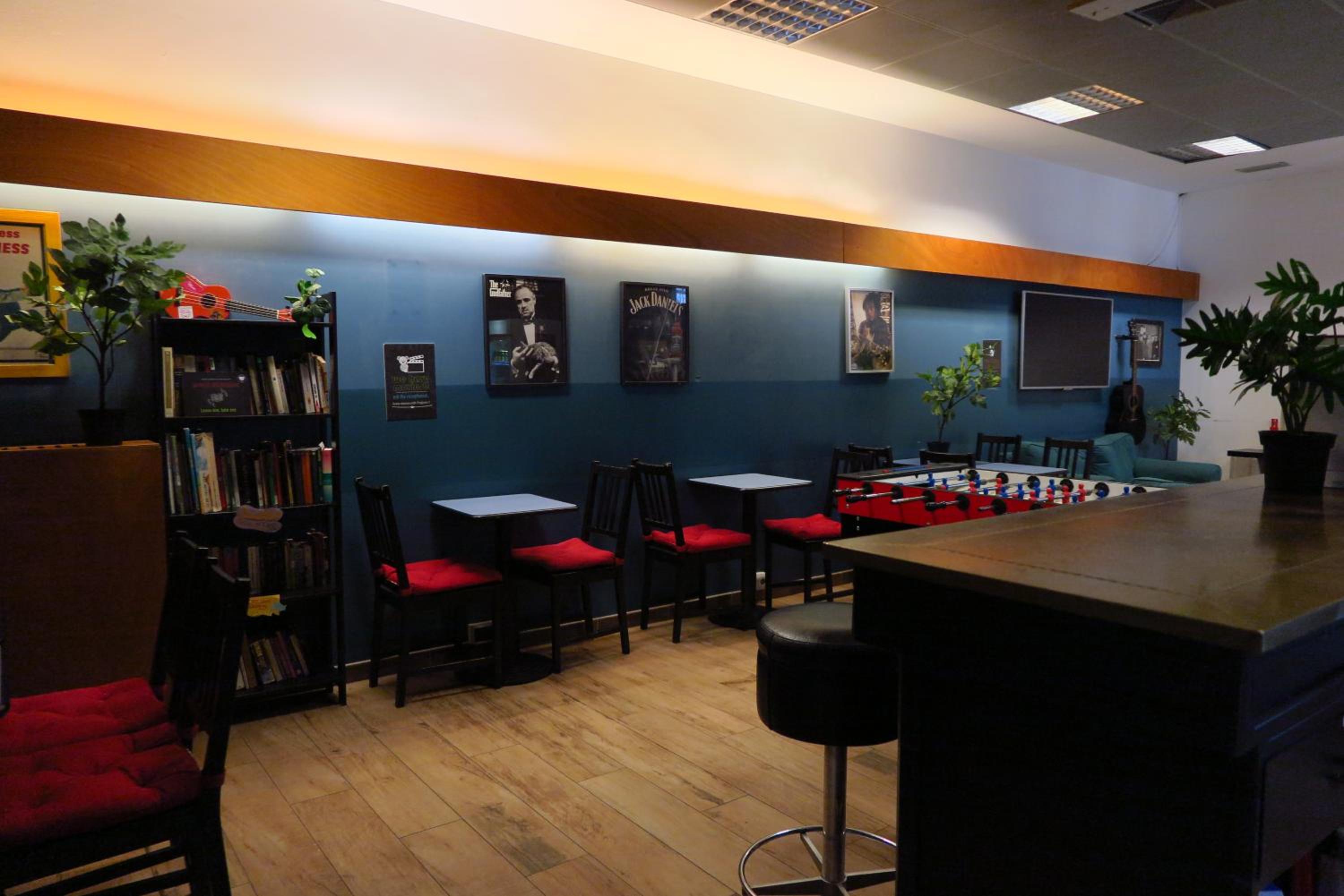 Фото Koala Hostel