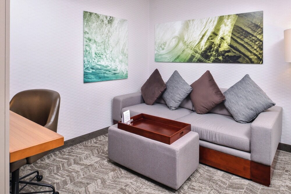 Фото Springhill Suites by Marriott Temecula Wine Country