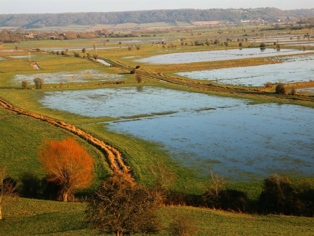 Фото Royal Ashton Hotel