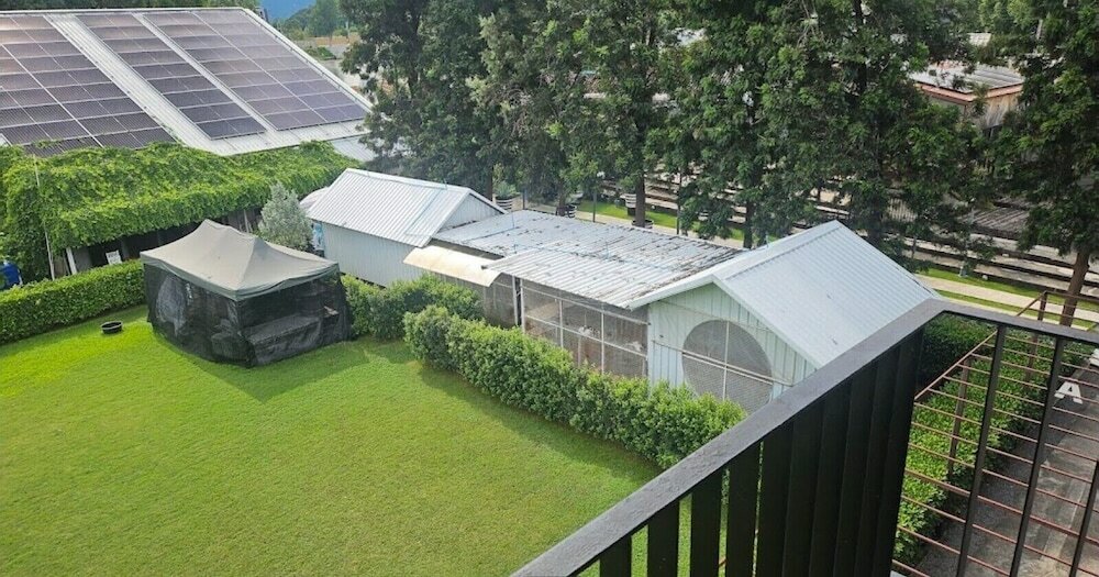 Фото The Zeit River Kwai