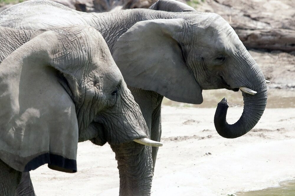 Фото Crowne Plaza Dallas Downtown