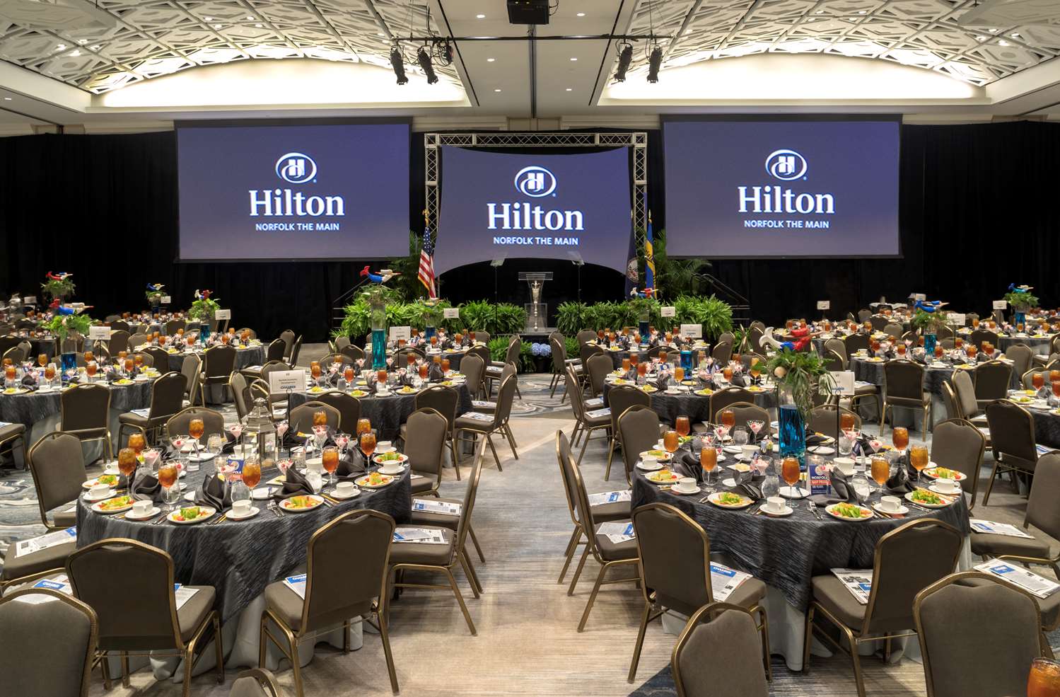 Фото Hilton Norfolk The Main