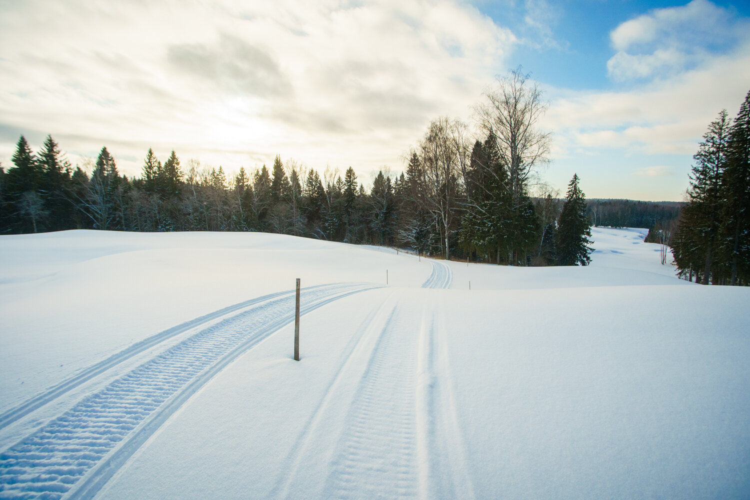 Фото Форест Хиллс