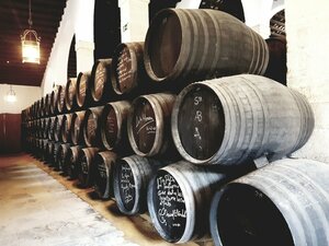 Гостиница Hotel Bodega Tío Pepe