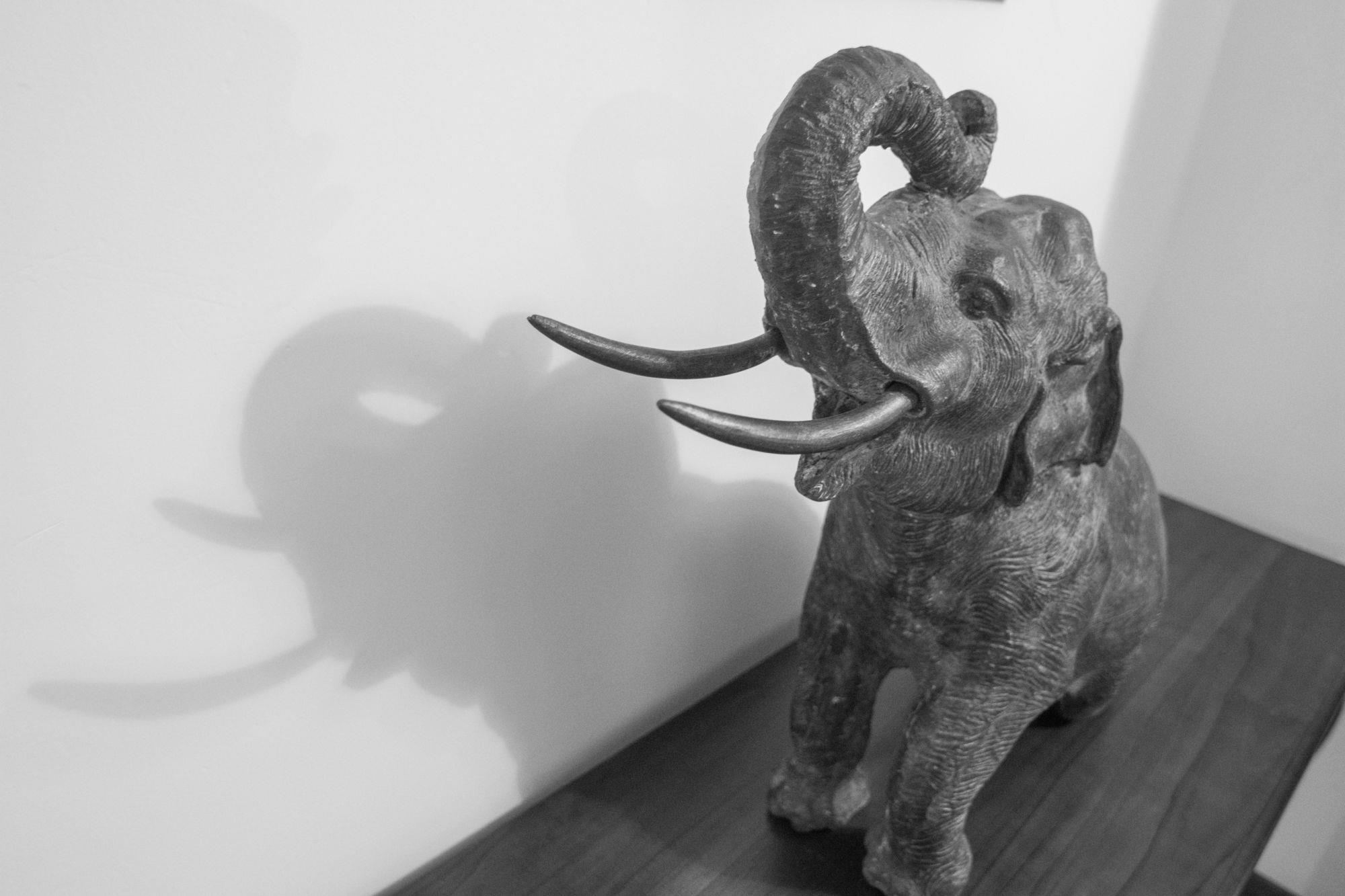 Фото Отель Kings Pavilion