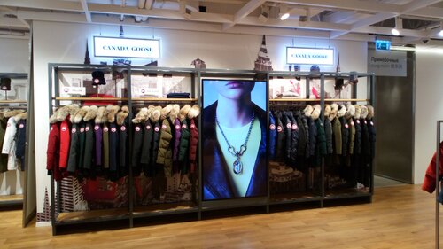 Canada Goose 2