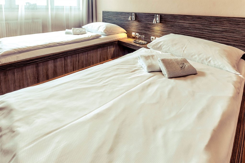 Фото Horse inn Pension