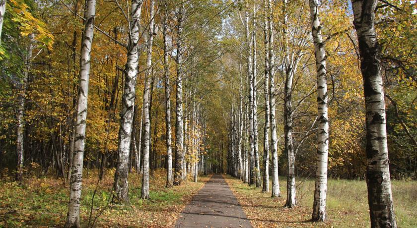 Фото Голицыно
