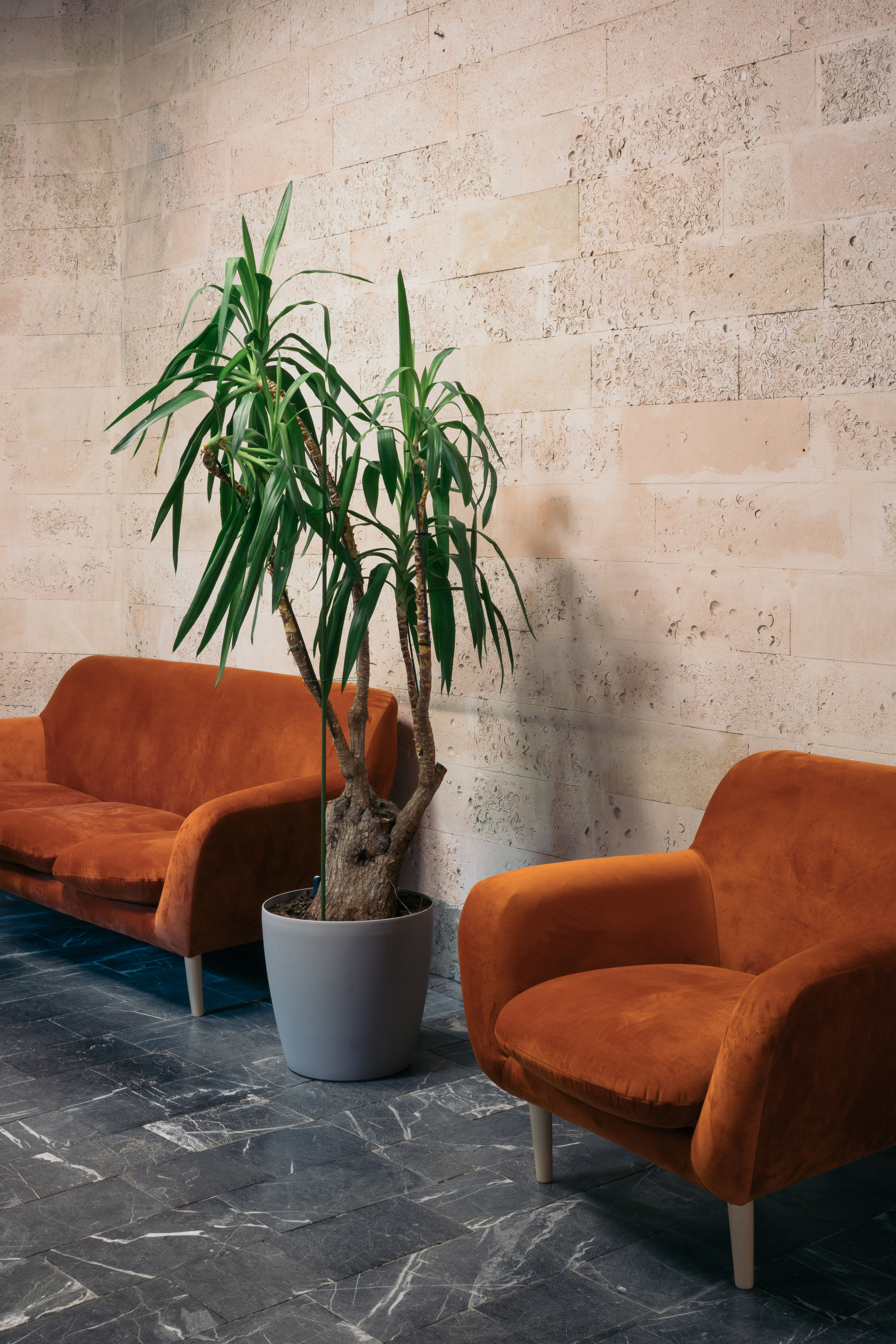 Фото Резиденция Переделкино