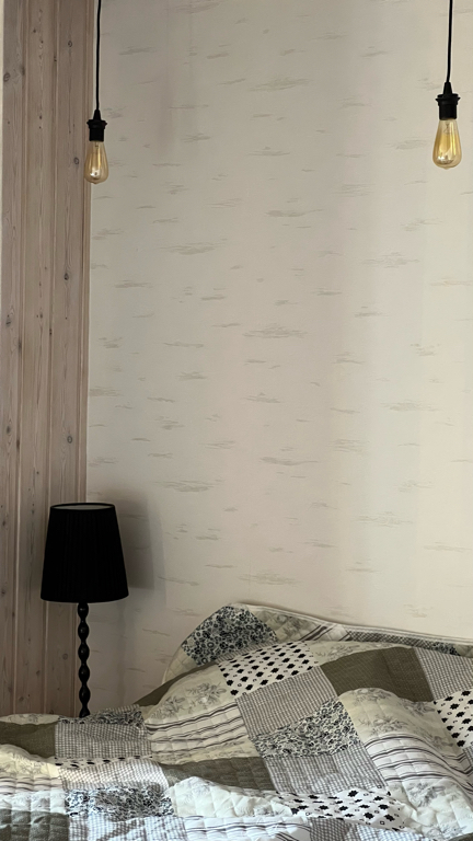 Фото Снежные Гуси