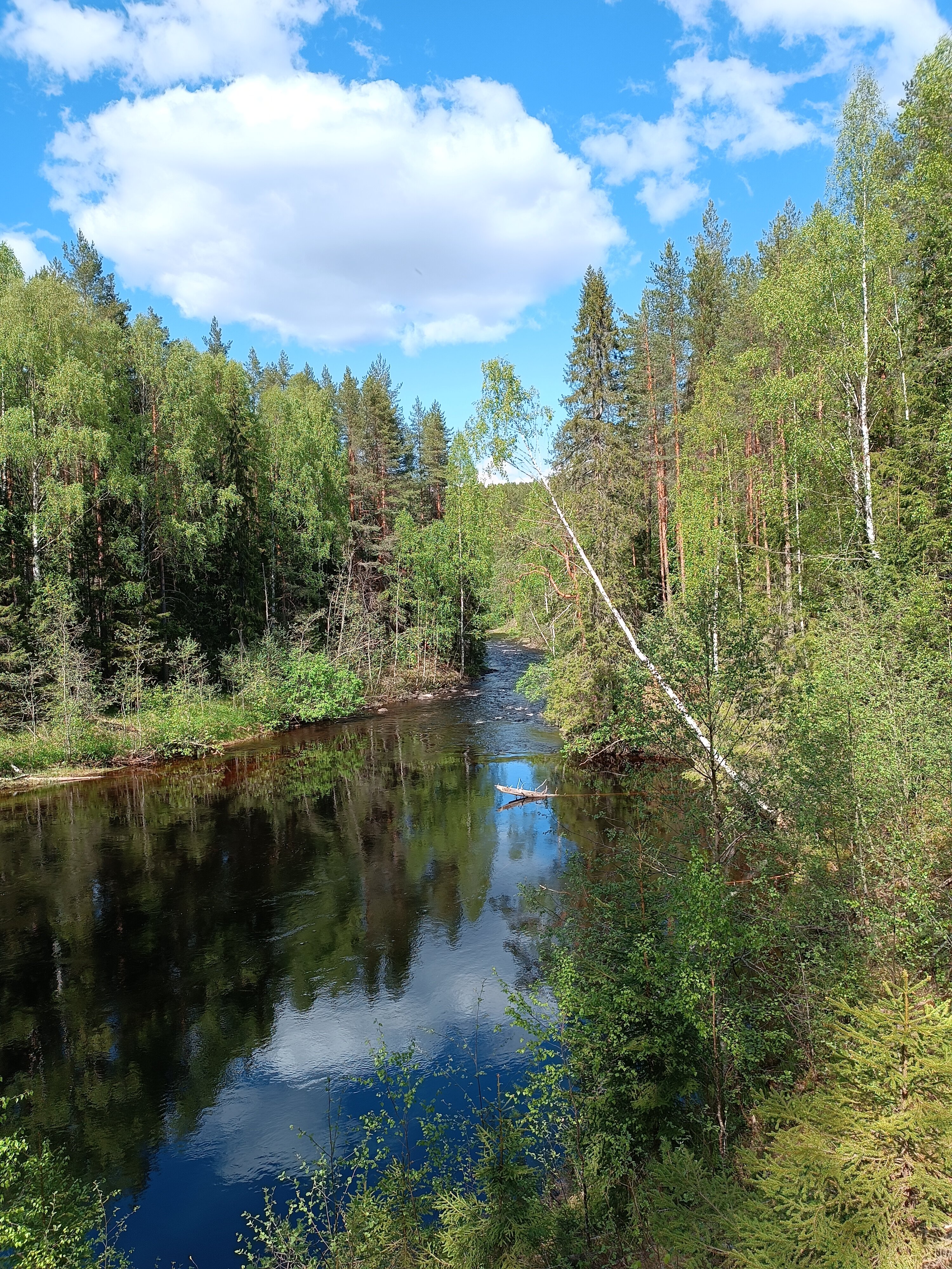 Фото Четыре Сезона