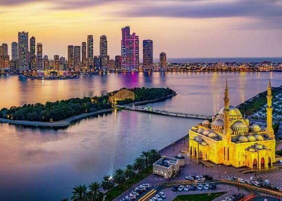 Travel agency Suncity Tours & Desert Safari, Dubai, photo