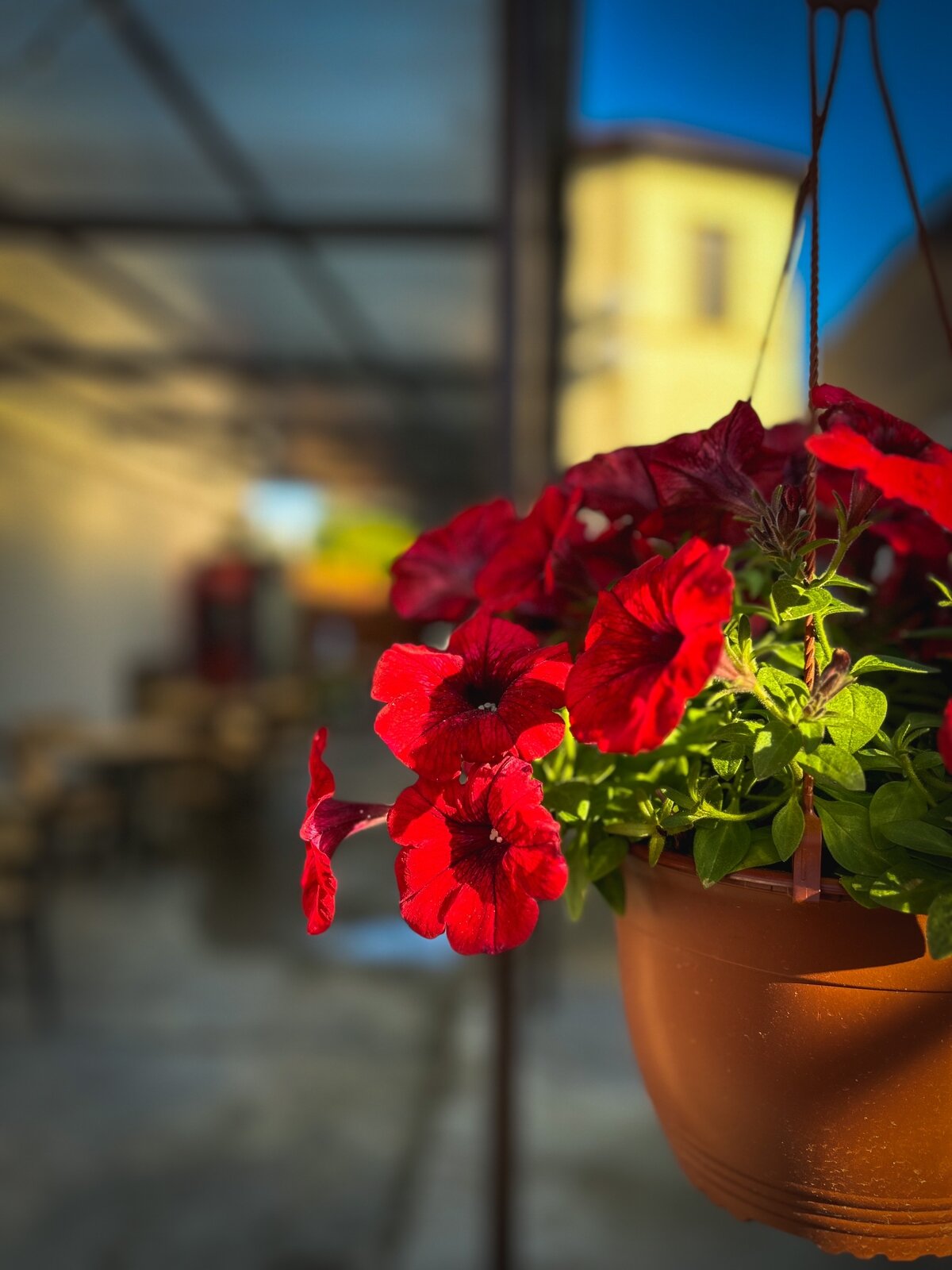 Фото Зима-Лето