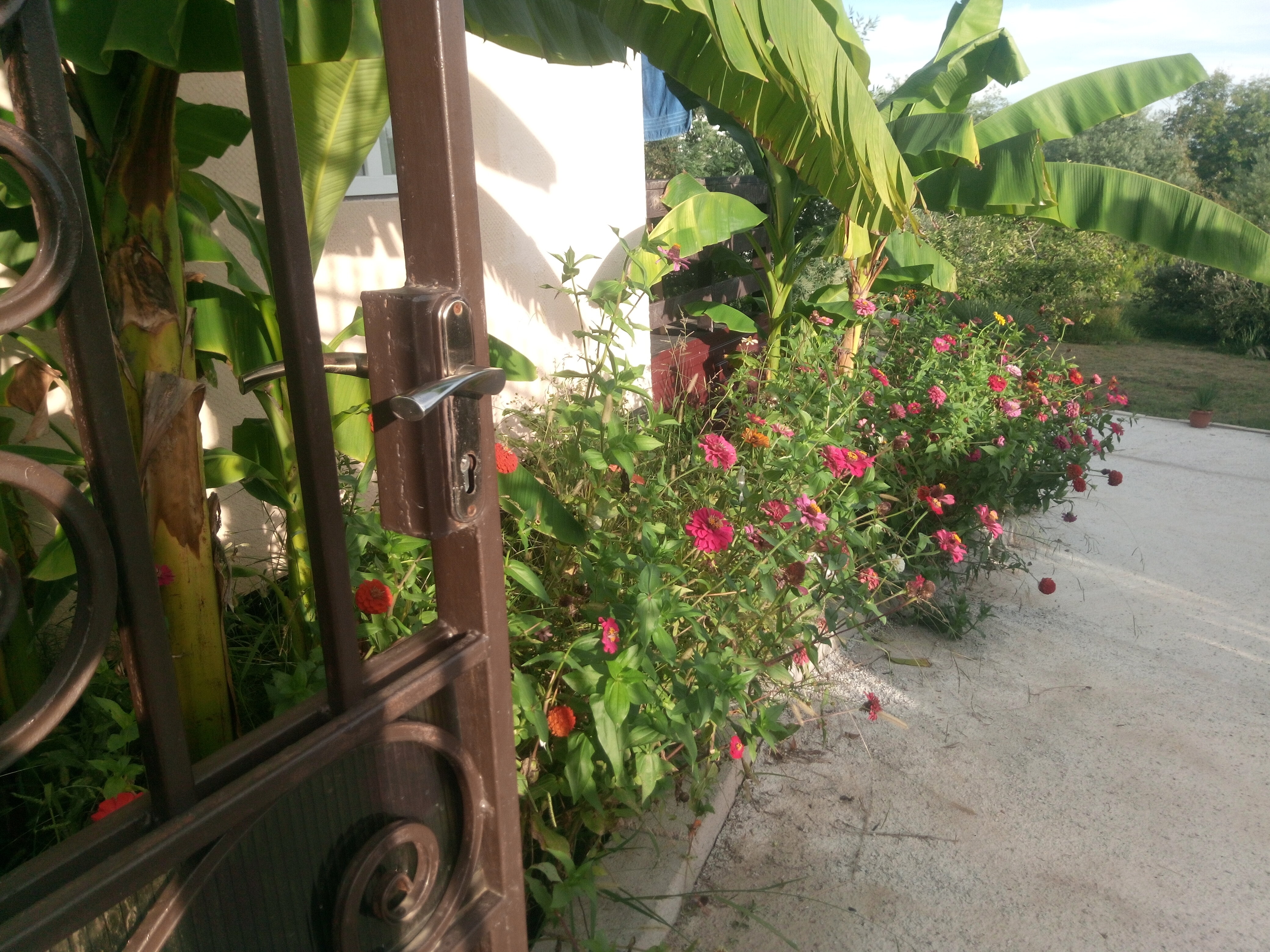 Фото У Комаровых