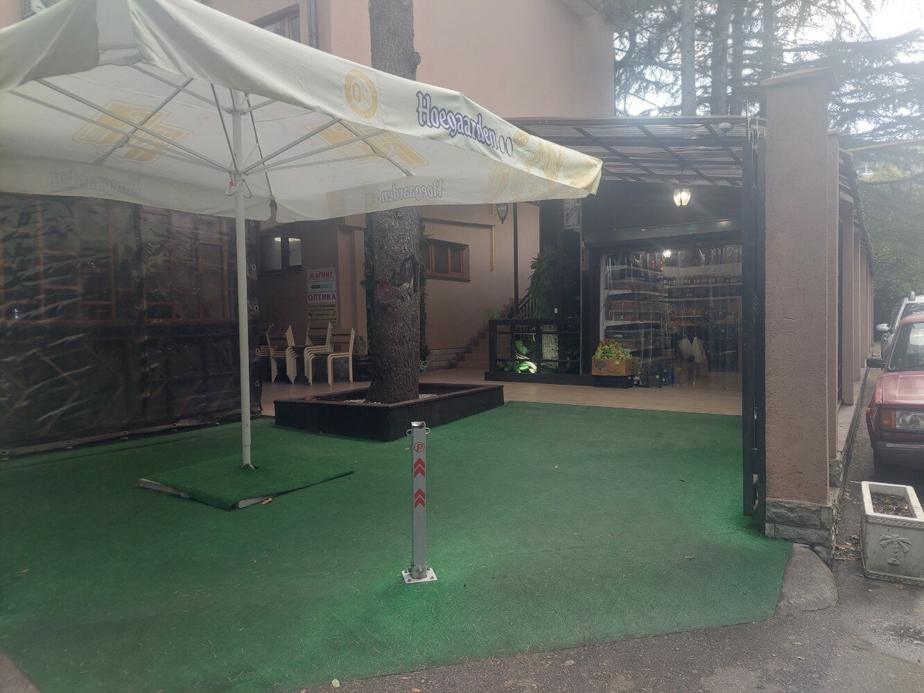 Фото Цветной 5