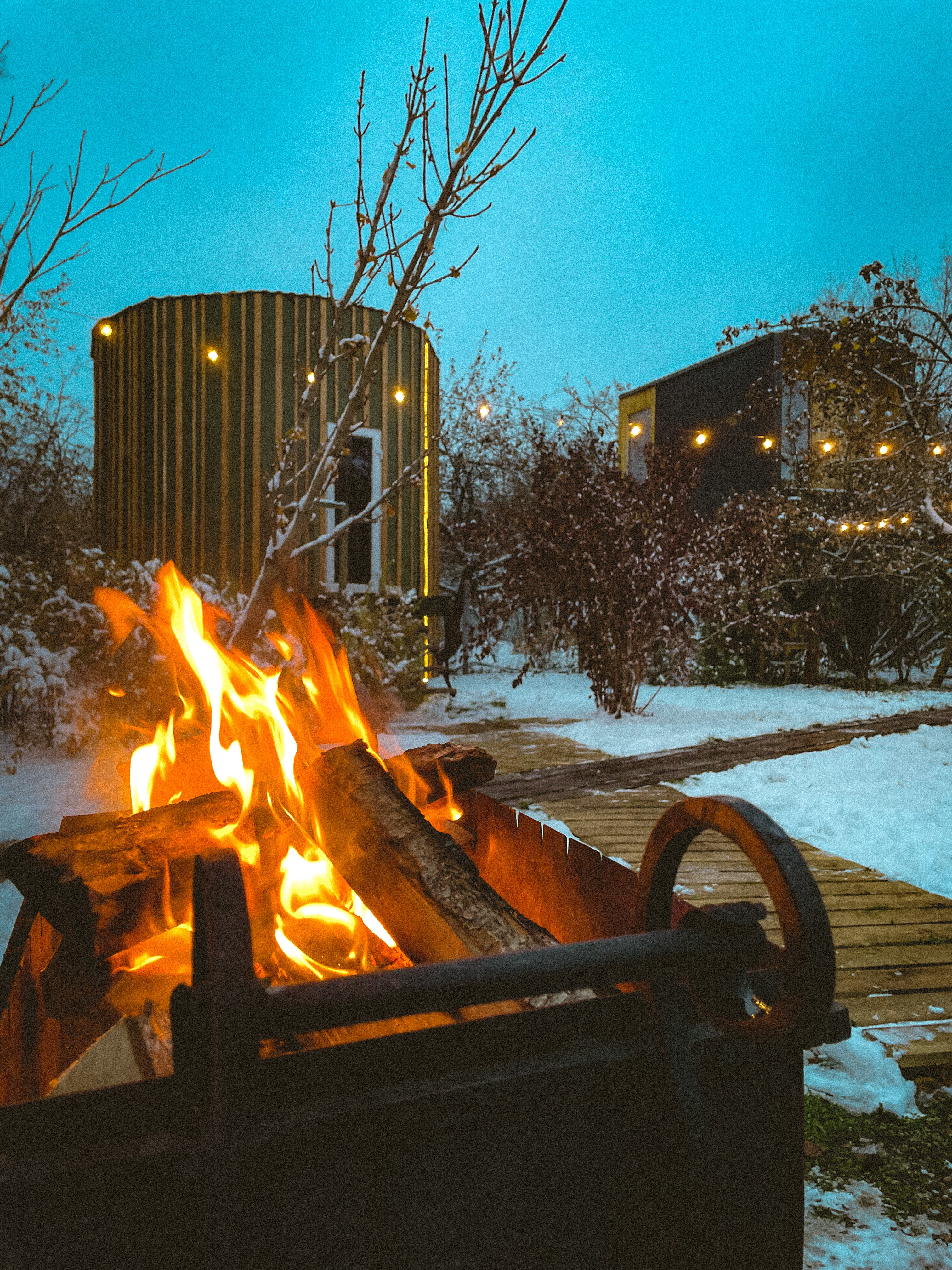 Фото Дом на дереве