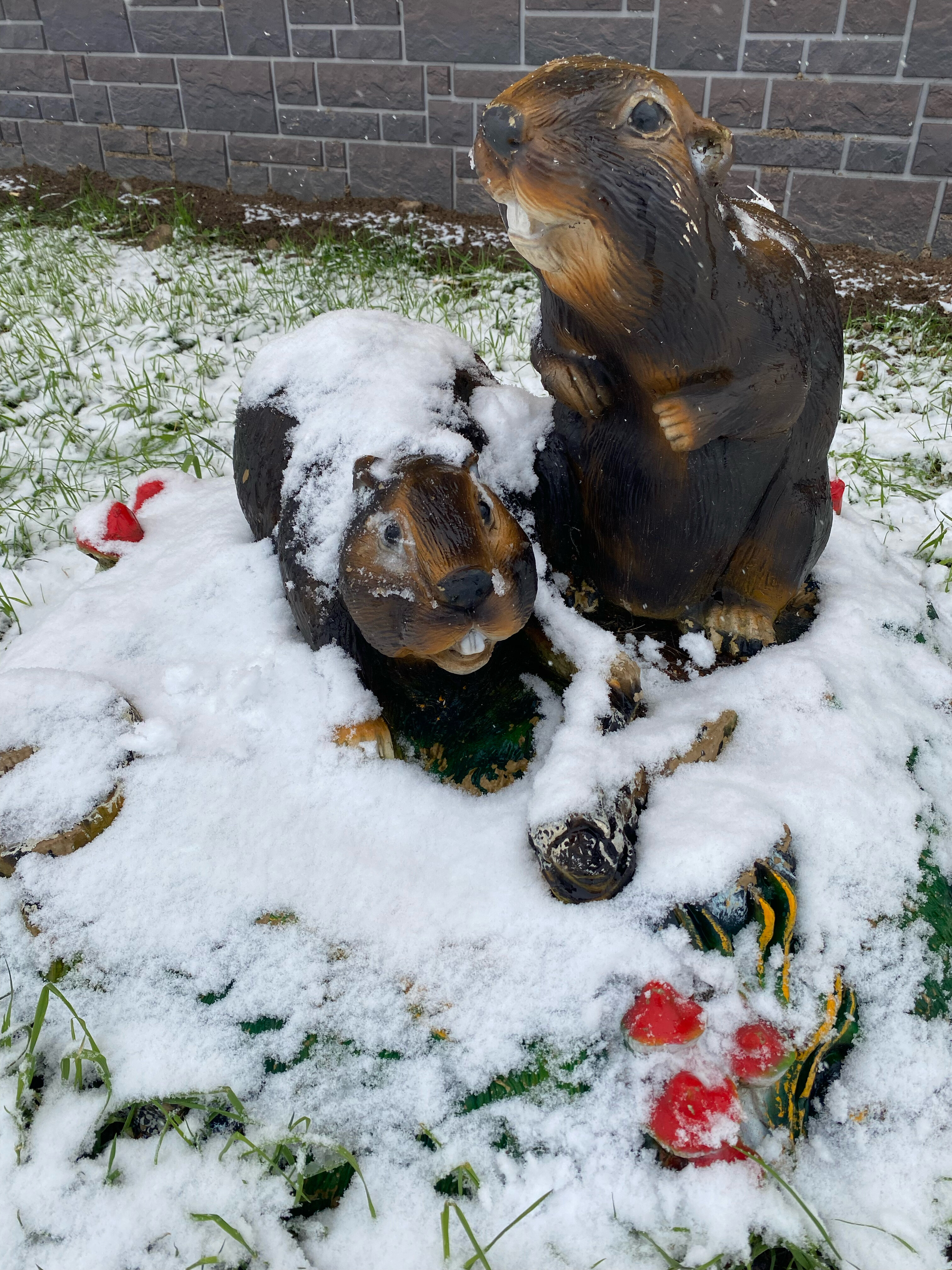 Фото Солнечная