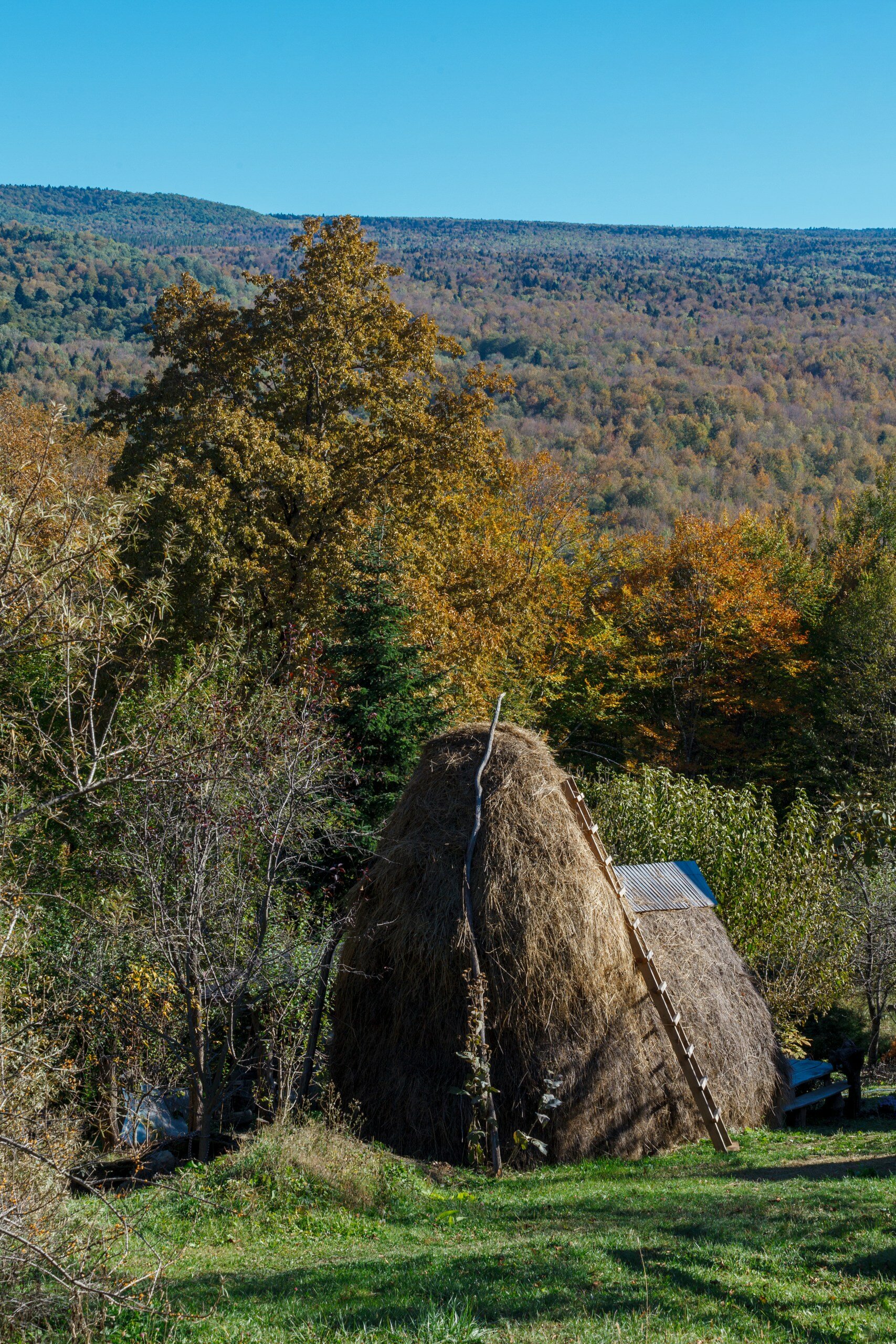 Фото Гостиница Мезмай