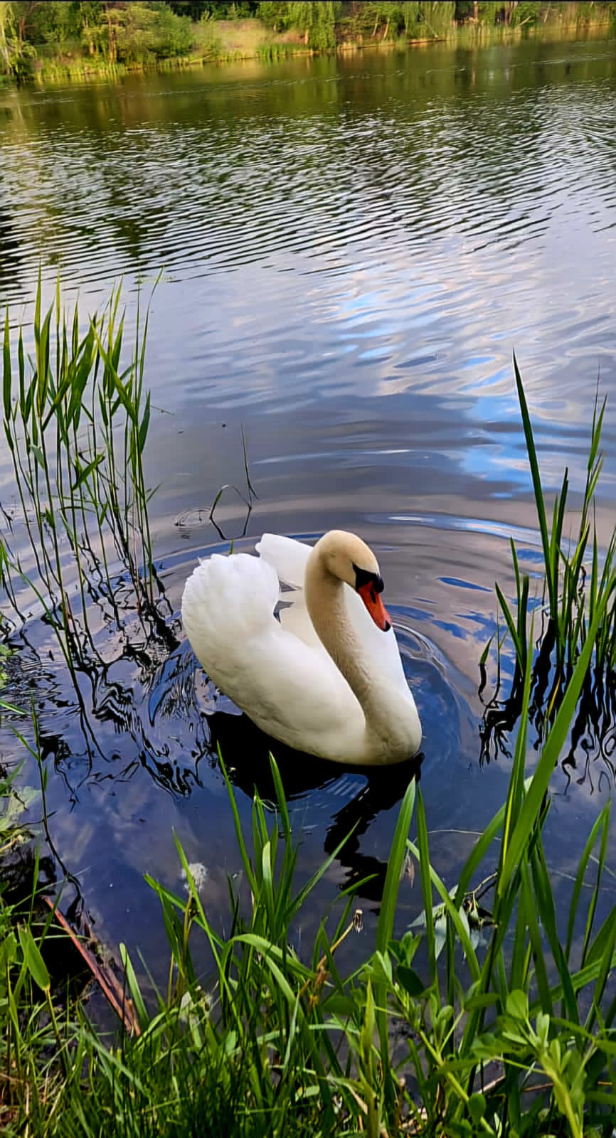 Фото Villa Boutique